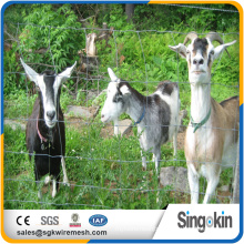 wholesale bulk cattle velding goat farming cattle velding goat farming